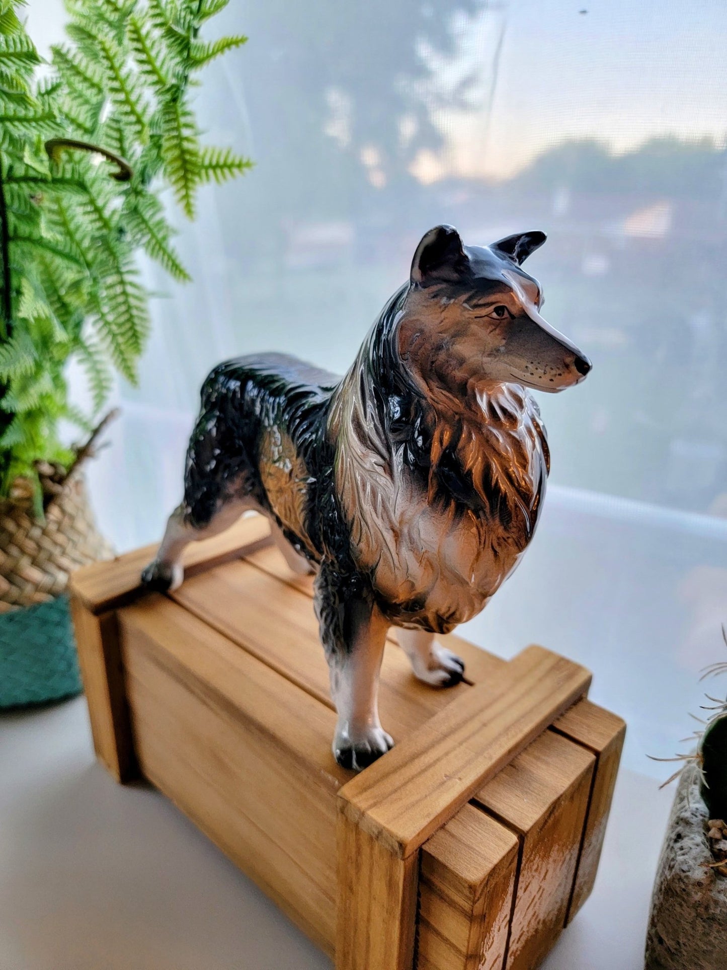 1950's Border Collie - Smash's Stashes