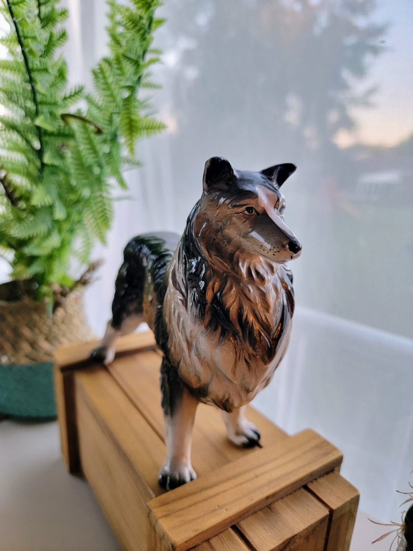 1950's Border Collie - Smash's Stashes