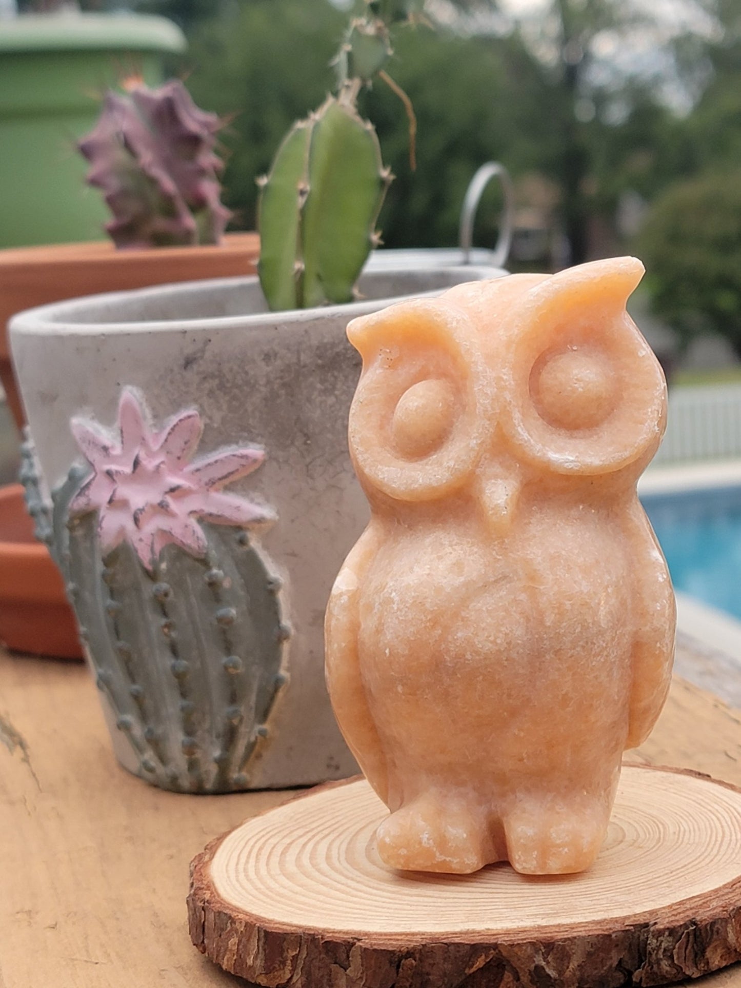Calcite Owl - Smash's Stashes