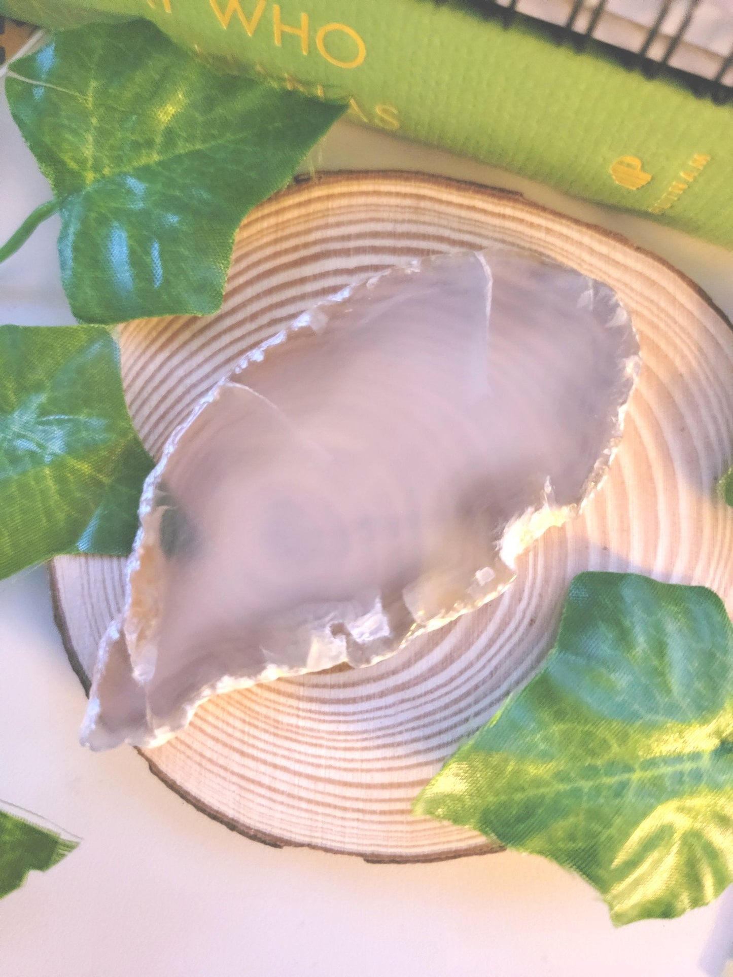 Dyed Agate Slices - Smash's Stashes