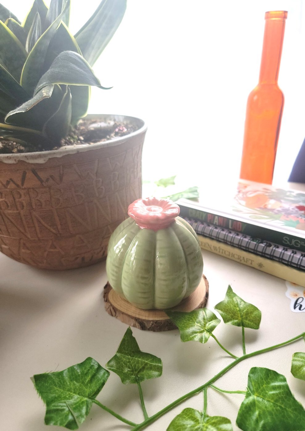 Fat Little Cactus - Smash's Stashes