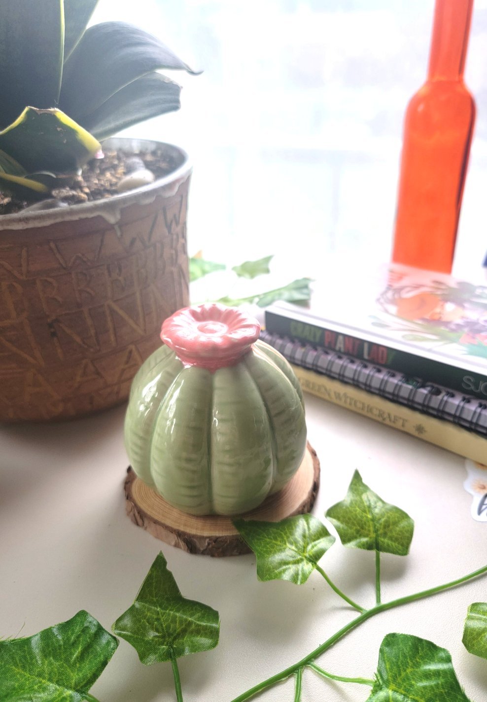 Fat Little Cactus - Smash's Stashes
