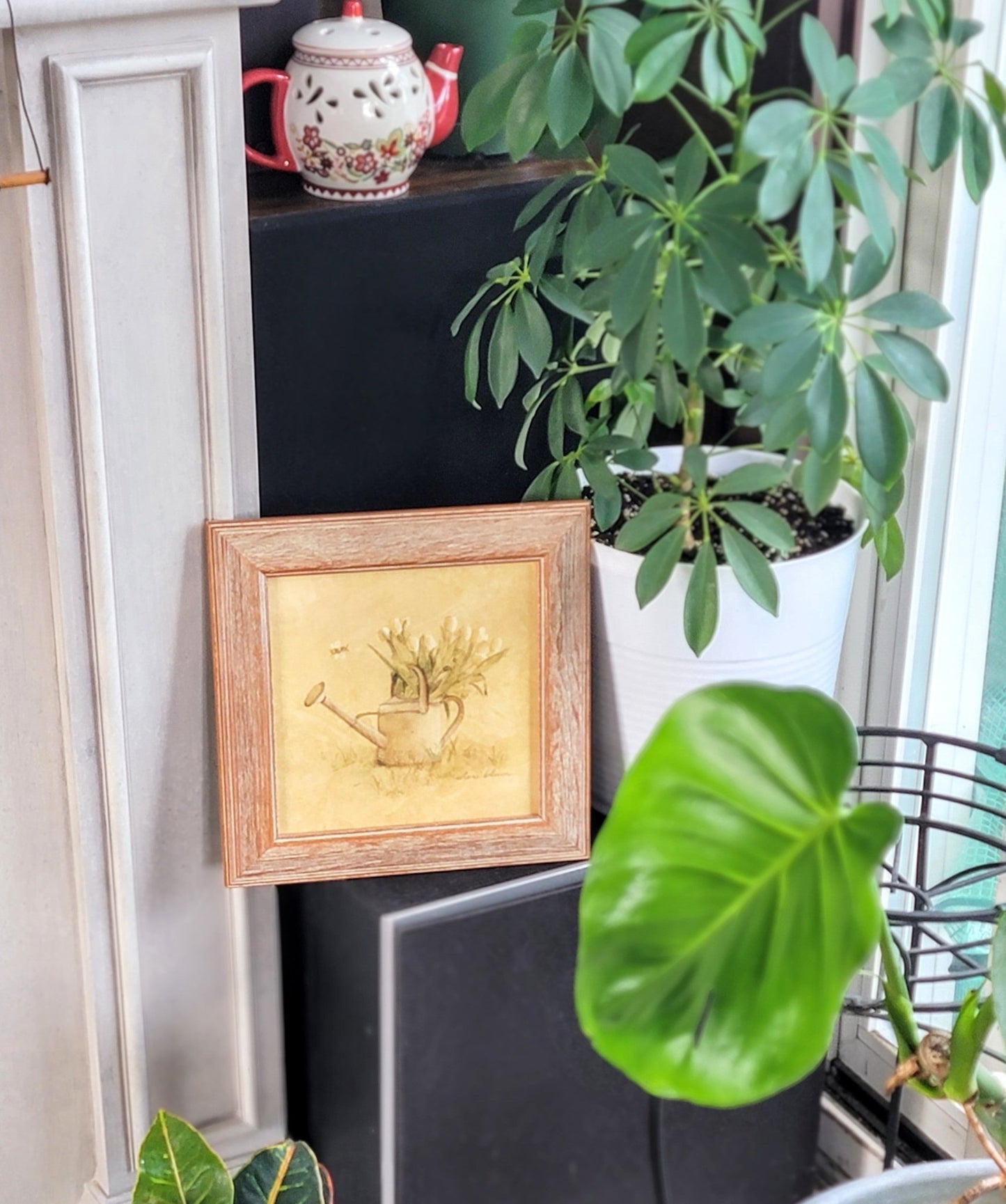 Framed Watering Can - Smash's Stashes