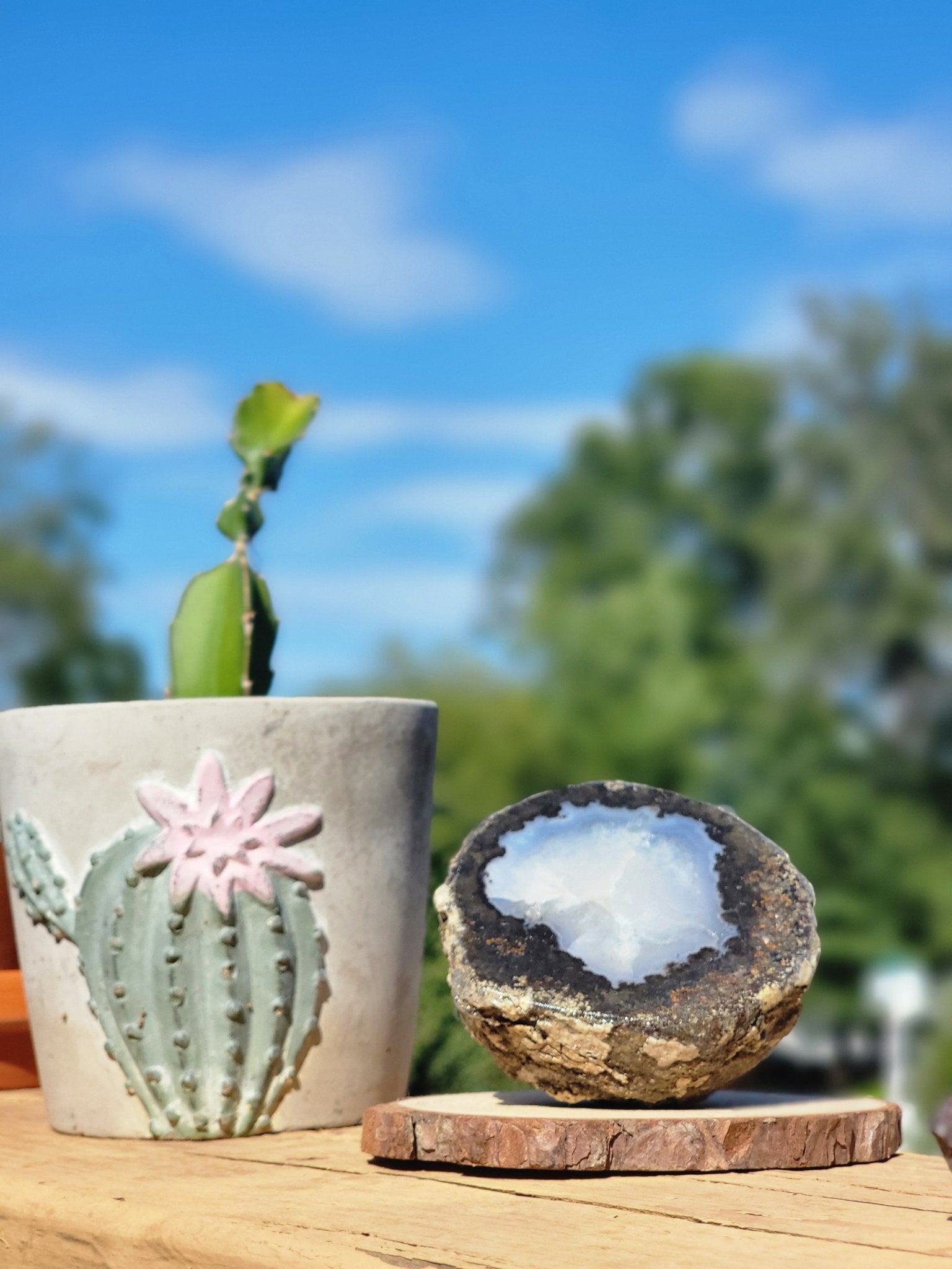 Raw Geode - Smash's Stashes
