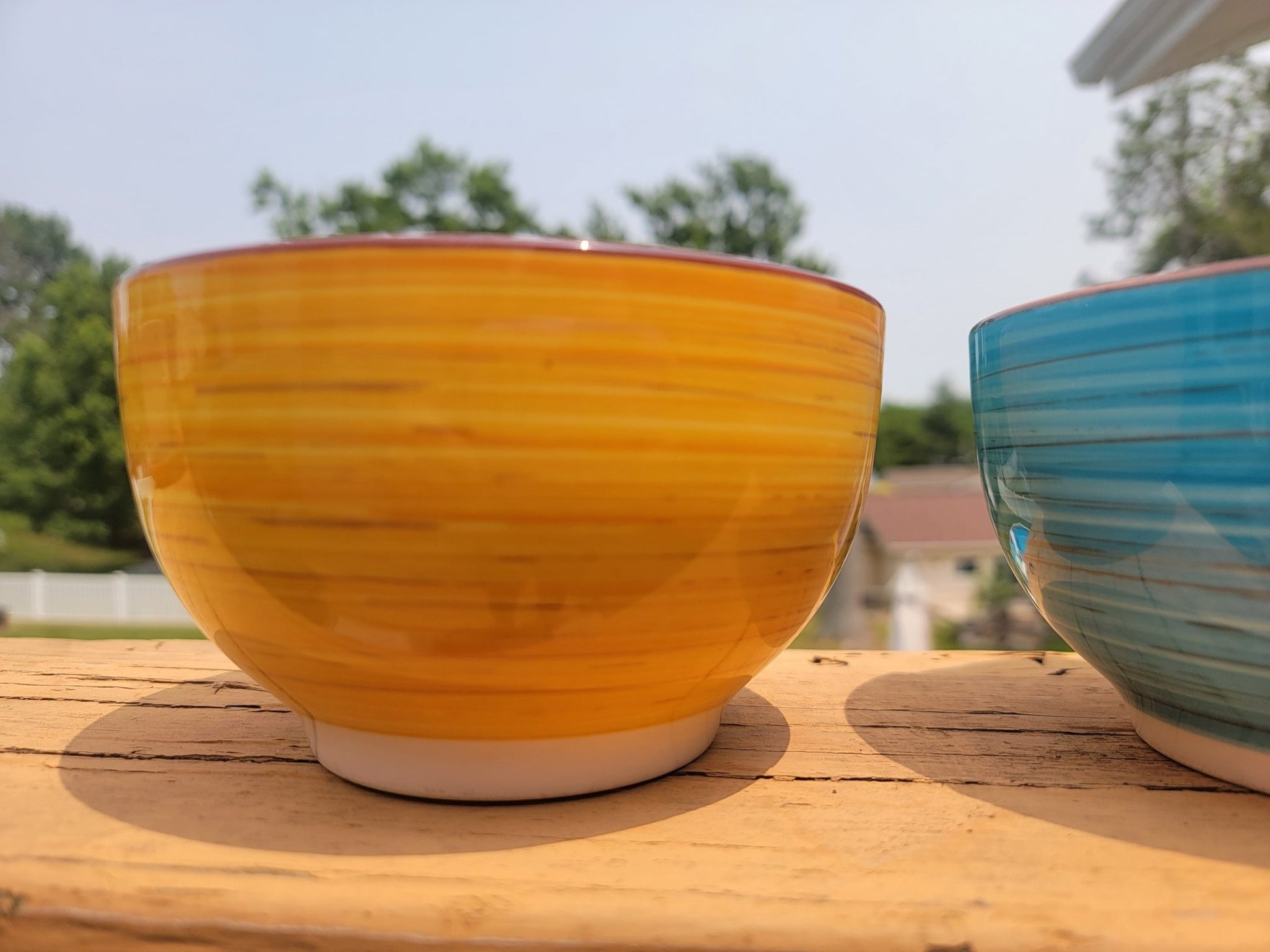 Succulent/Cereal Bowl - Smash's Stashes