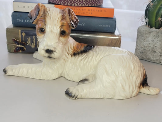 Vintage Wire Haired Terrier - Smash's Stashes