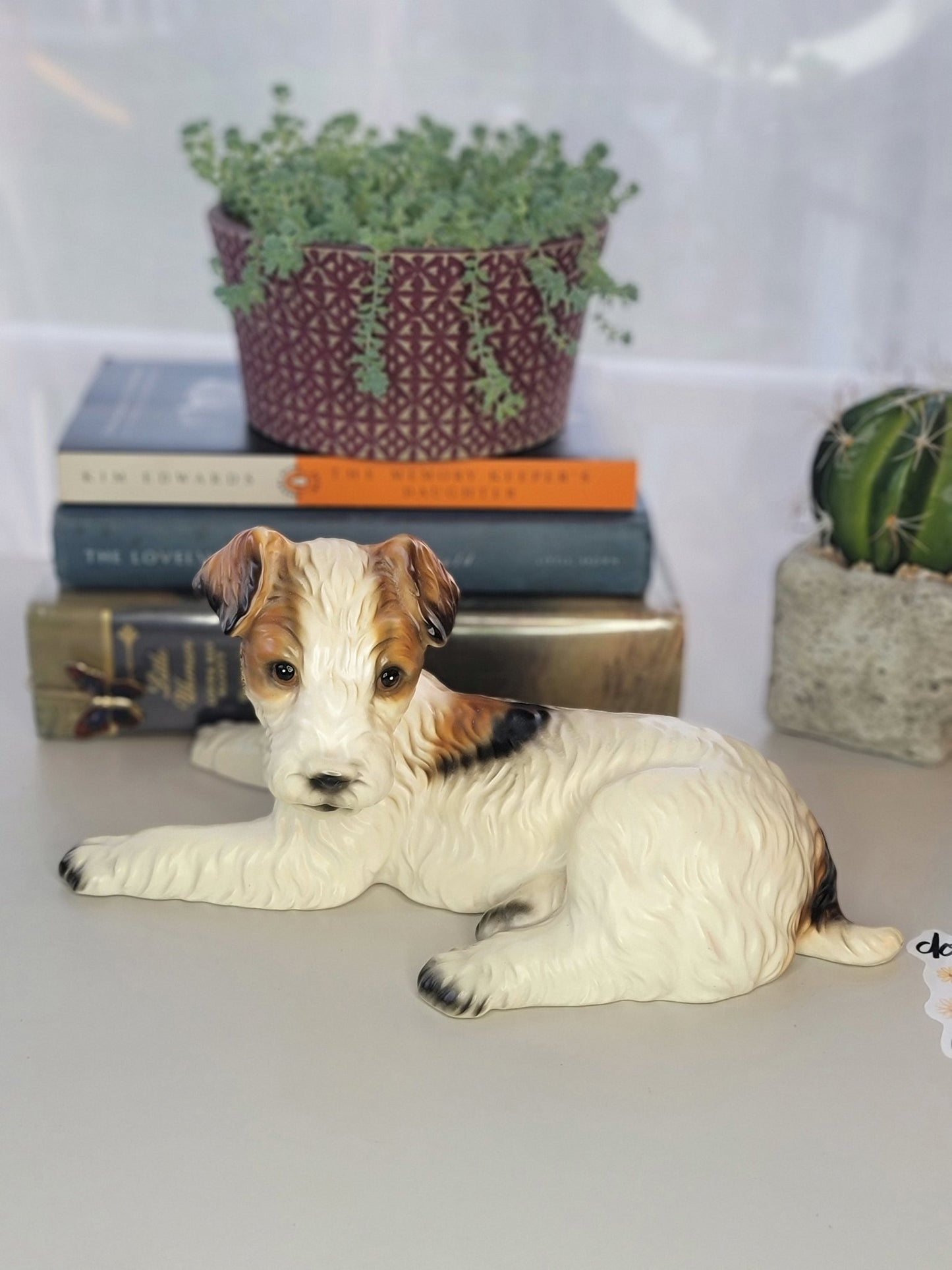 Vintage Wire Haired Terrier - Smash's Stashes