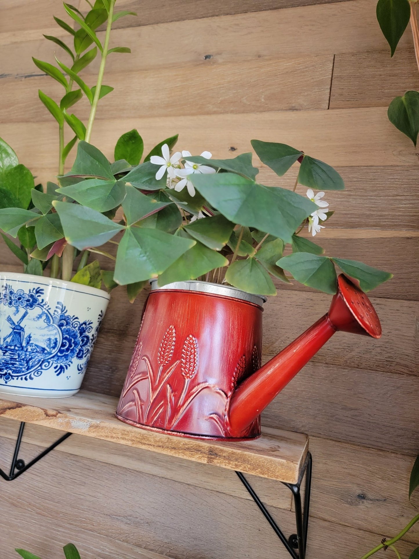 Watering Can Plant holder - Smash's Stashes
