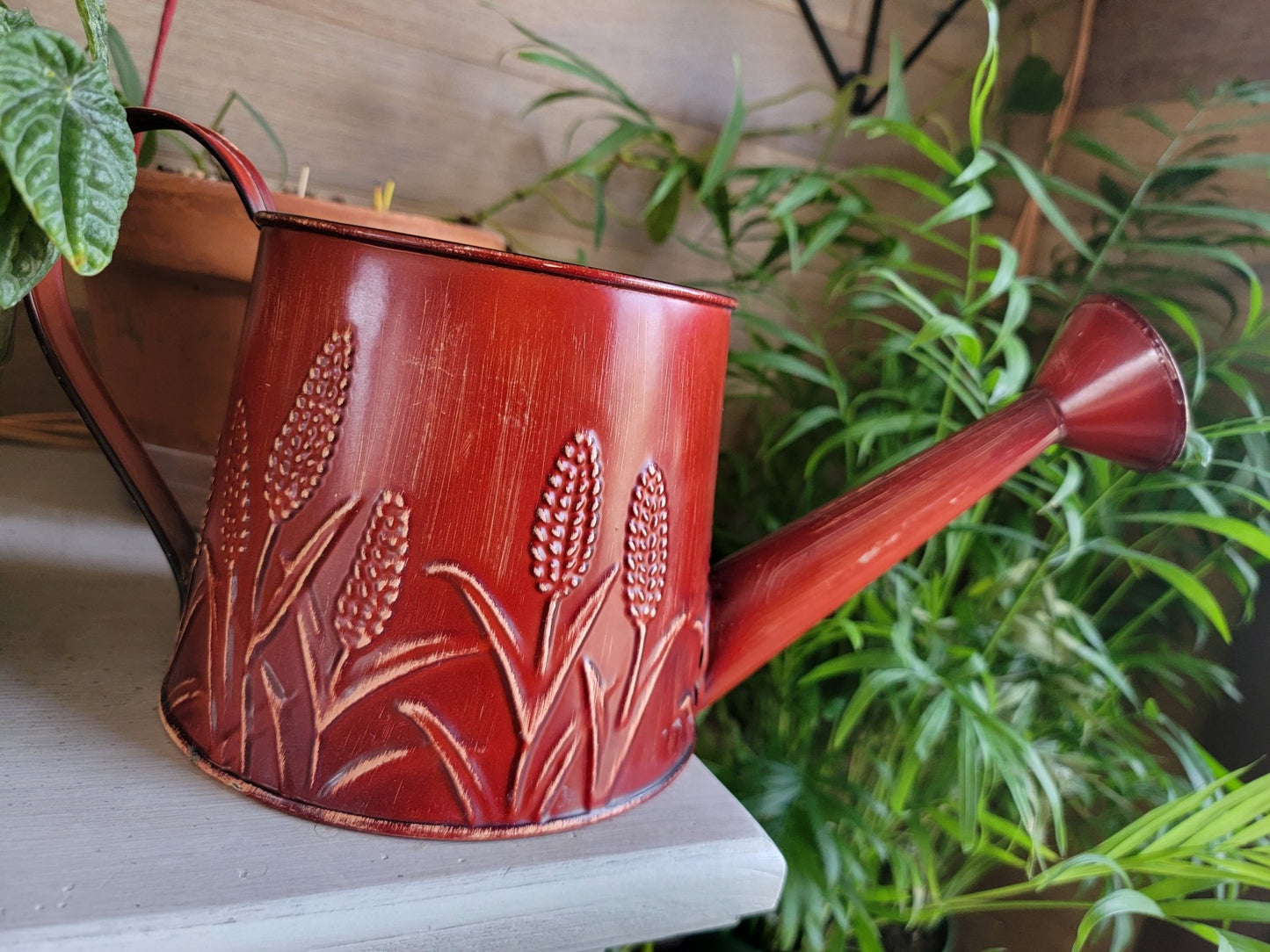 Watering Can Plant holder - Smash's Stashes