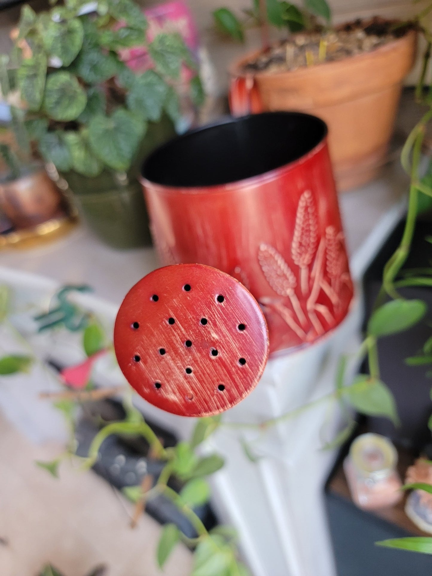 Watering Can Plant holder - Smash's Stashes