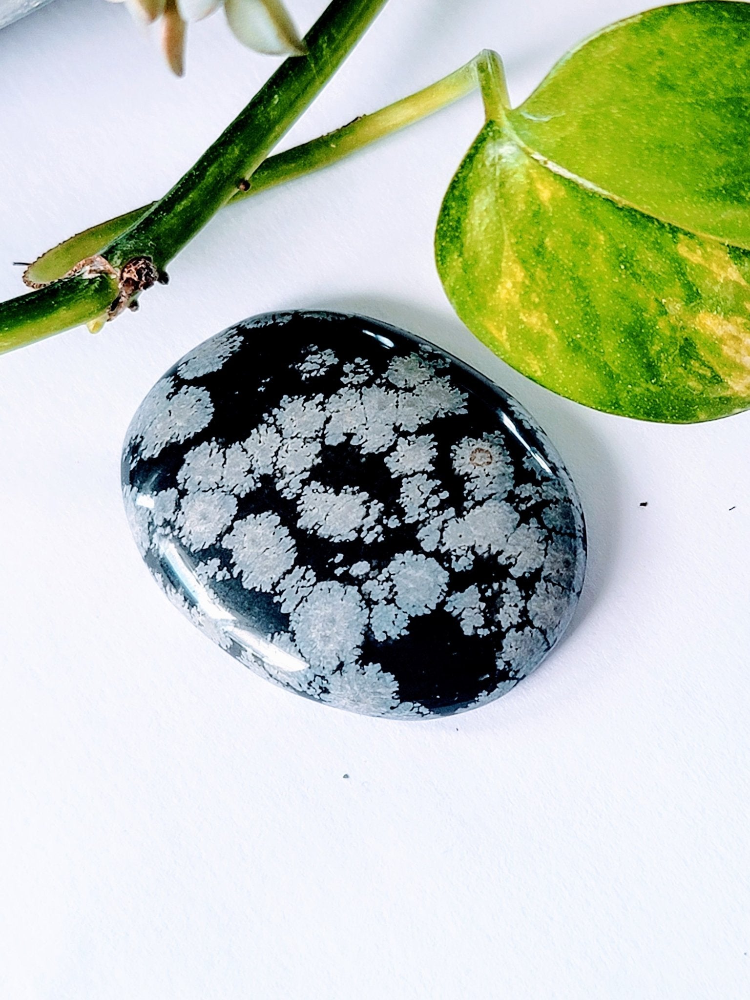 Worry/Palm Stones - Smash's Stashes