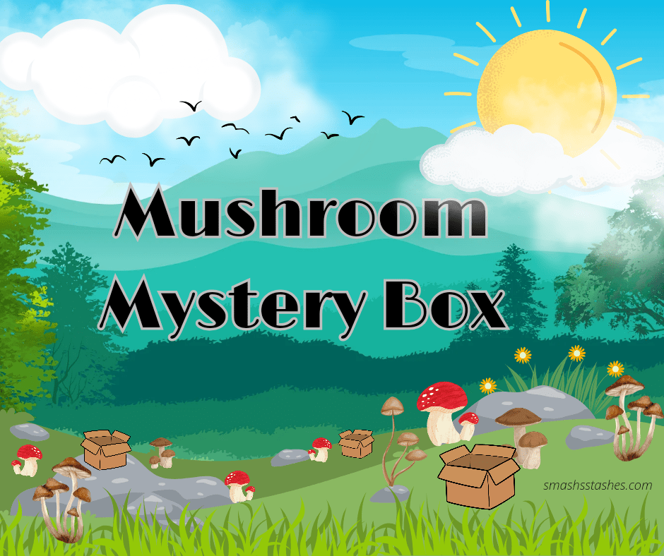 Monthly Mystery Boxes - Smash's Stashes