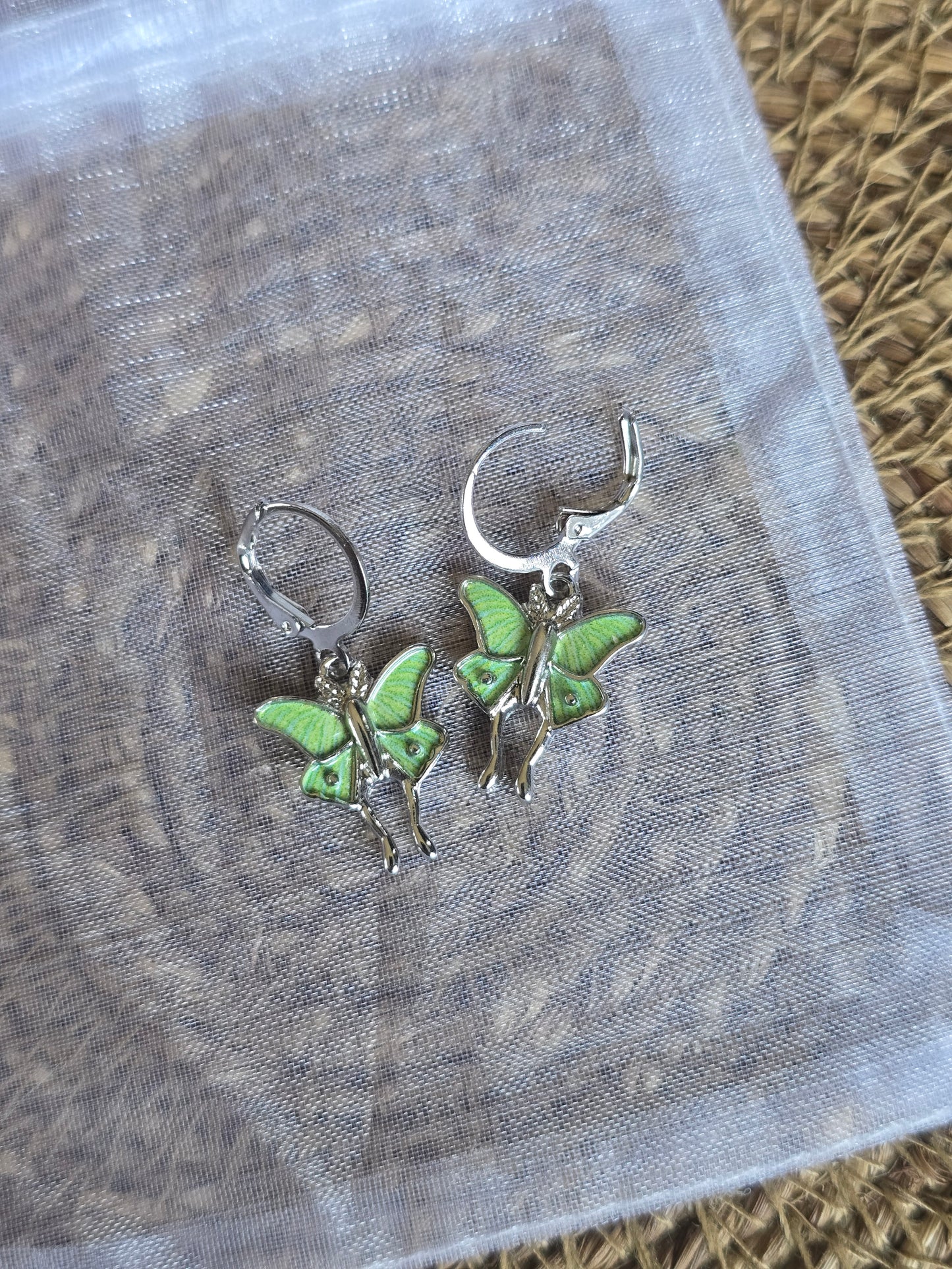 The Forest Collection