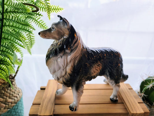 1950's Border Collie - Smash's Stashes