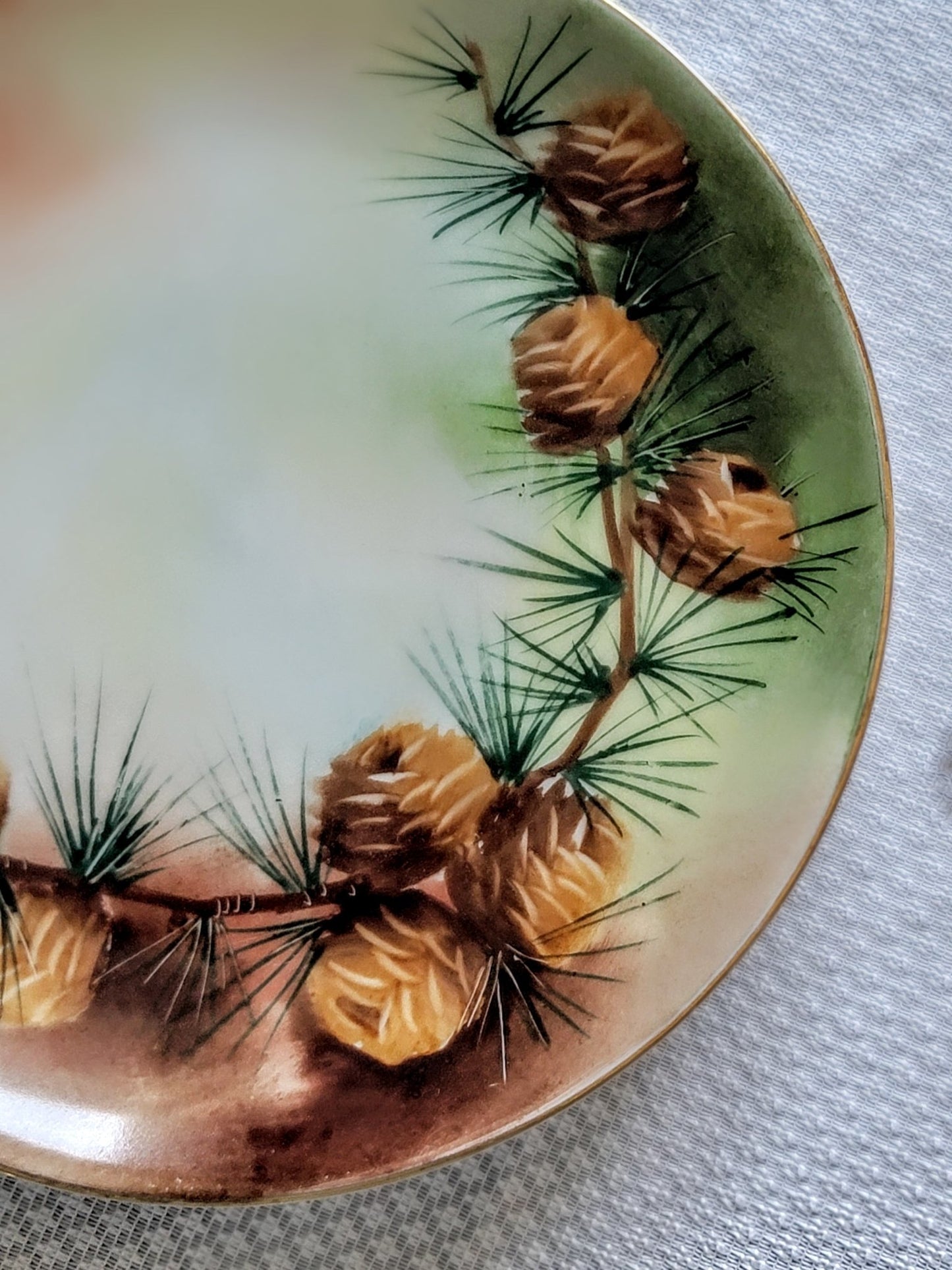 Bavarian Pinecomb Plate - Smash's Stashes