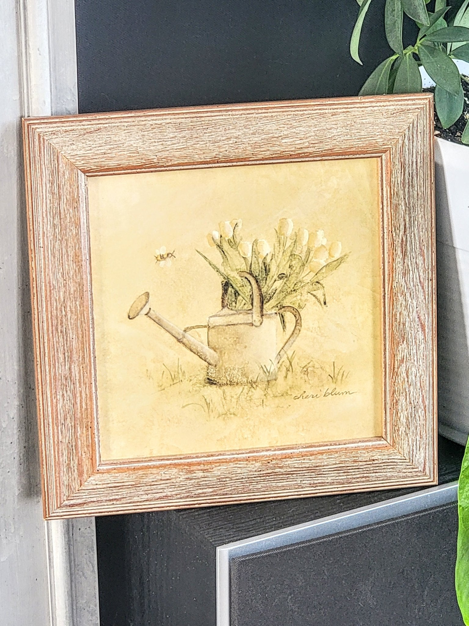 Framed Watering Can - Smash's Stashes