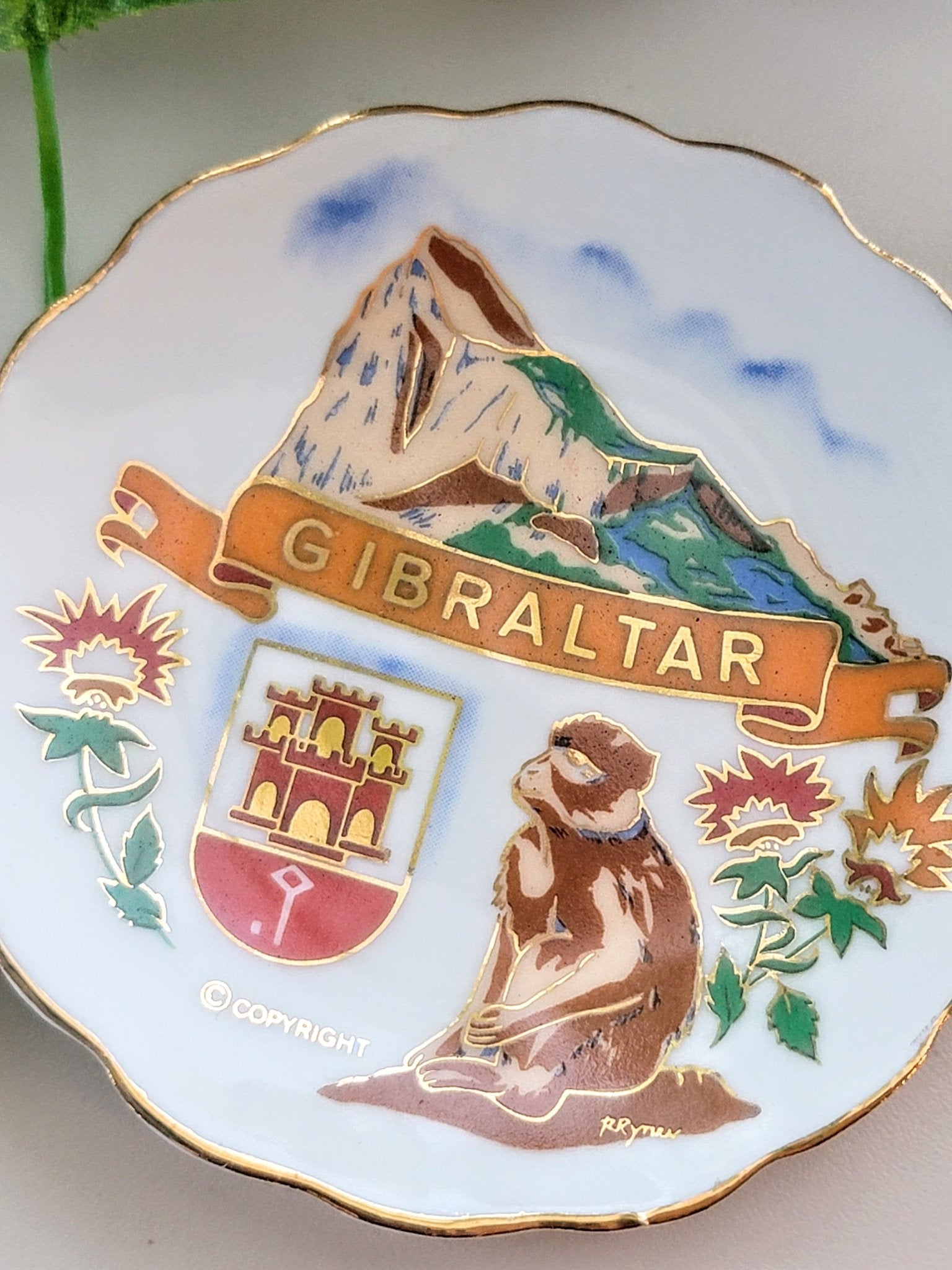 Gibraltar Plate - Smash's Stashes